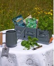 Kitchen Herb Garden Gift Set